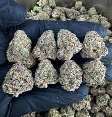 Buy OG Kush In Norway