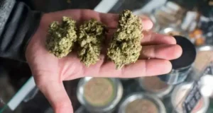 Buy Sour Diesel Online In Norway