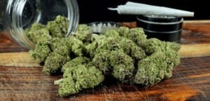 Buy Moon Rocks Strain Online In Oslo