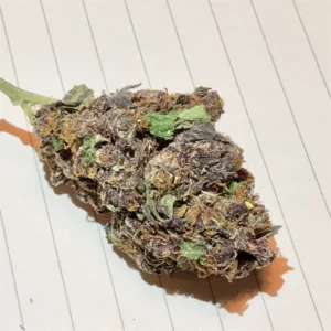Buy Blackberry Kush Online In Norway