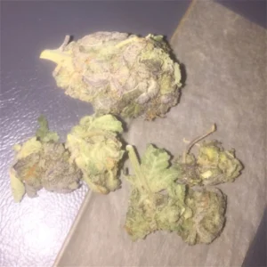 Buy Girls Scout Cookies Online In Oslo