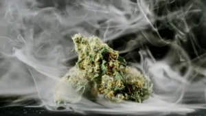 Buy Grand Daddy Purple In Oslo